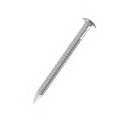 Pointe annelée tête bombée - Inox A4 D=1.9mm, L=30mm, BTE1000 - ARA41.9X30 - Réf. 74221