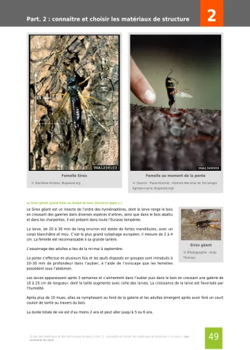 Extrait de la rubrique préparer un projet de construction bois