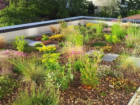 Toiture végétalisée